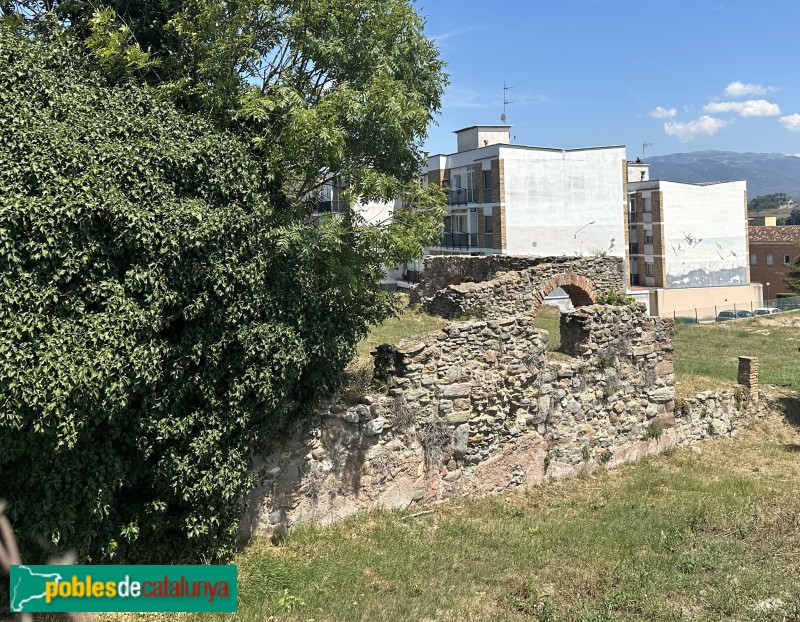 Tona - Jaciment del Camp de les Lloses. Ruïnes de la Rectoria Vella (Foto: Albert Esteves, 2024) Tona - Jaciment del Camp de les Lloses. Ruïnes de la Rectoria Vella