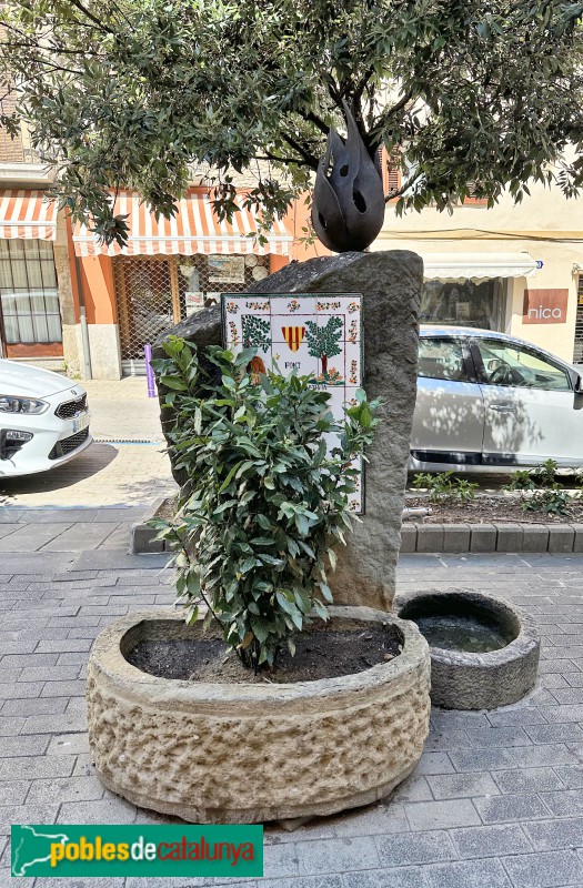 Tona - Font de Sant Joan Baptista (Foto: Albert Esteves, 2024) Tona - Font de Sant Joan Baptista