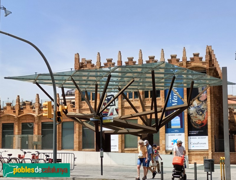 Barcelona - Arbres Bessons (Foto: Anna Corcoll, 2022) Barcelona - Arbres Bessons