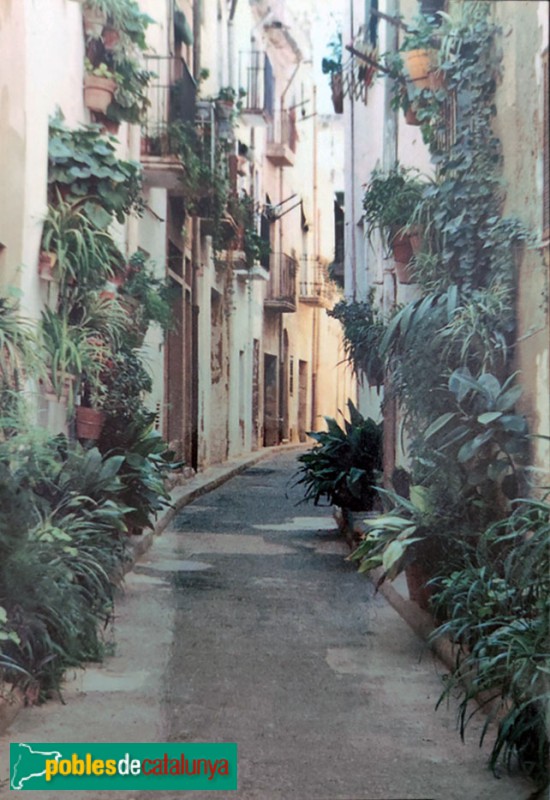 Cambrils - Carrer Lloveras. Postal antiga Cambrils - Carrer Lloveras. Postal antiga