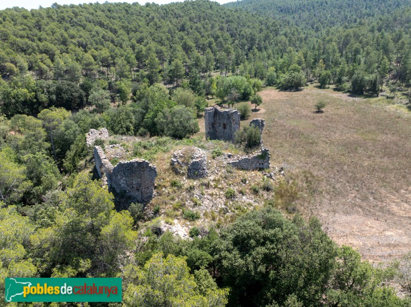 La Llacuna - Els Castellots (Foto: Francesc Vidal-Barraquer, 2024) La Llacuna - Els Castellots