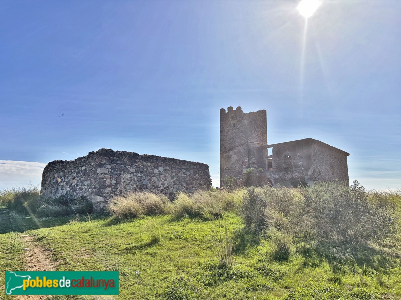 Riudoms- Torre del Mas de Don Felip (Foto: Albert Esteves, 2024) Riudoms- Torre del Mas de Don Felip