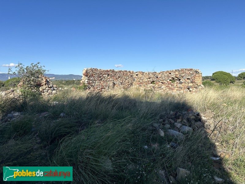 Riudoms- Torre del Mas de Don Felip (Foto: Albert Esteves, 2024) Riudoms- Torre del Mas de Don Felip