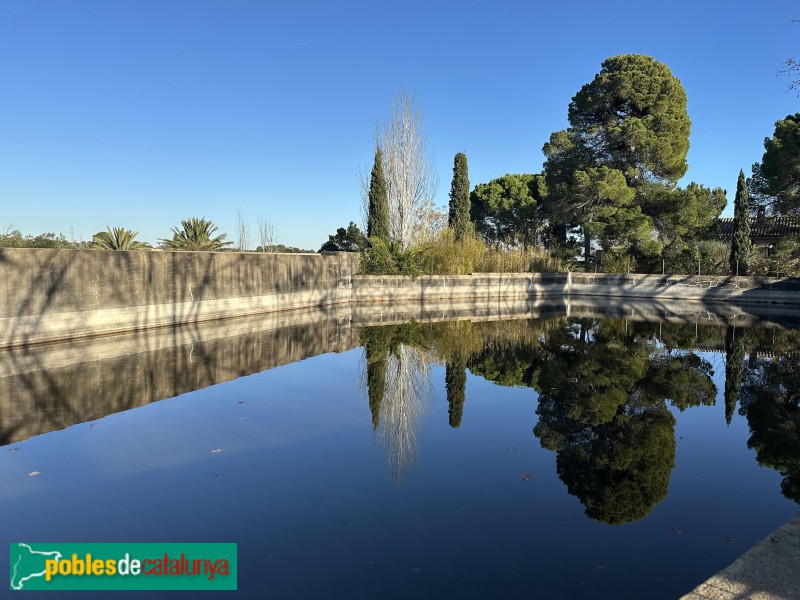 Bassa del Bacallà