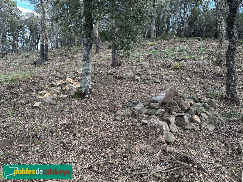 Cassà de la Selva - Poblat ibèric del Puig del Castell (Foto: Albert Esteves, 2025) Cassà de la Selva - Poblat ibèric del Puig del Castell