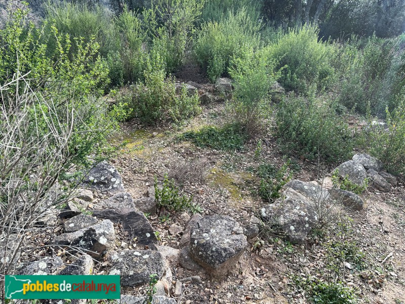 Cassà de la Selva - Poblat ibèric del Puig del Castell (Foto: Albert Esteves, 2025) Cassà de la Selva - Poblat ibèric del Puig del Castell