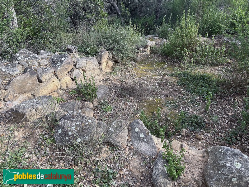 Cassà de la Selva - Poblat ibèric del Puig del Castell (Foto: Albert Esteves, 2025) Cassà de la Selva - Poblat ibèric del Puig del Castell