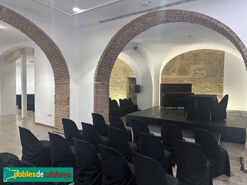 Vila-seca - Castell (Foto: Albert Esteves, 2025) Vila-seca - Castell