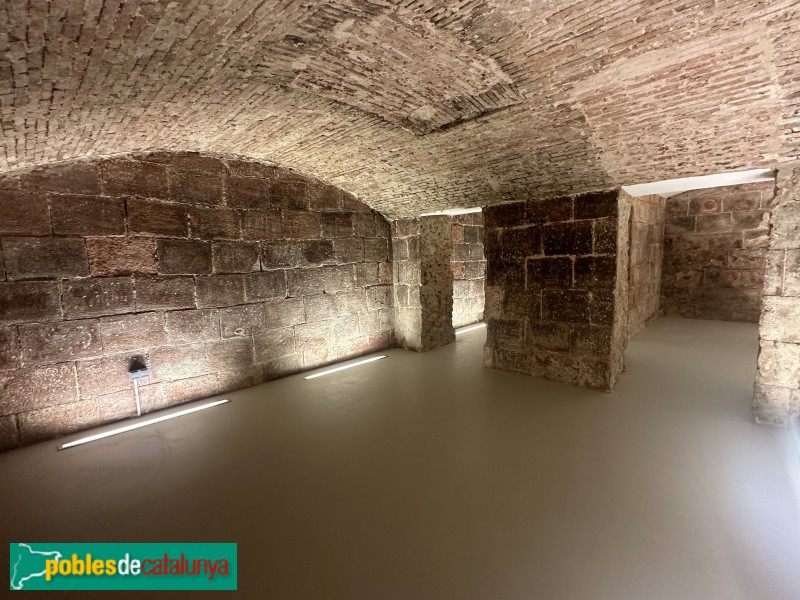 Vila-seca - Castell (Foto: Albert Esteves, 2025) Vila-seca - Castell