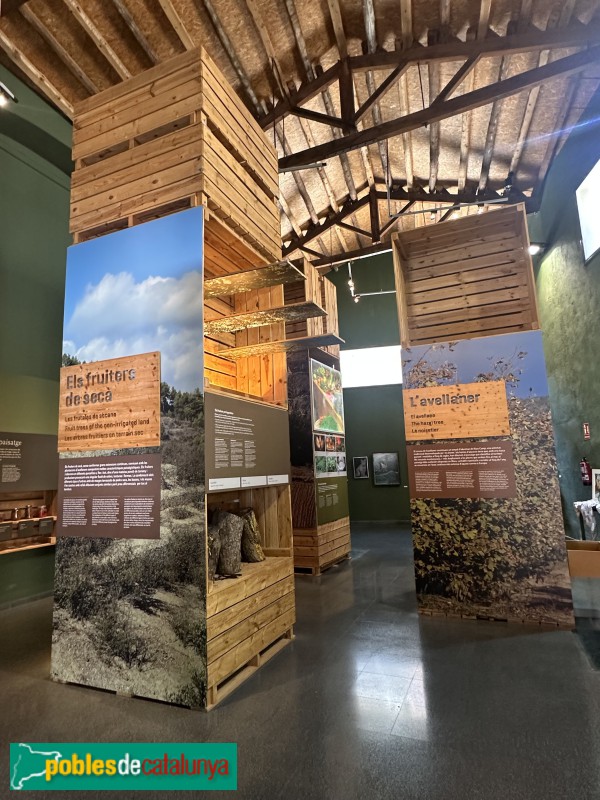 Riudecanyes - Museu de la Cooperativa