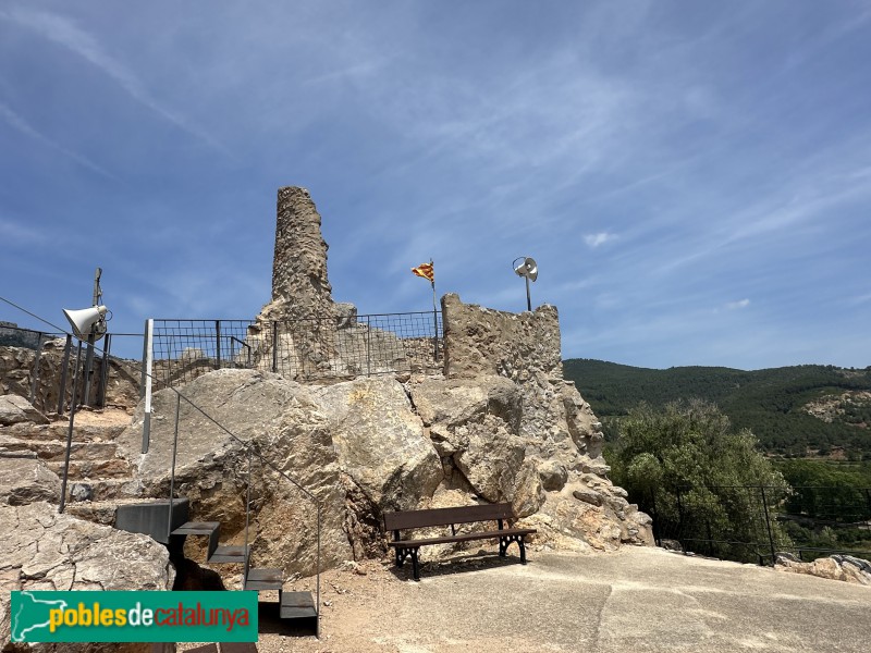 Pratdip - Castell (Foto: Albert Esteves, 2025) Pratdip - Castell