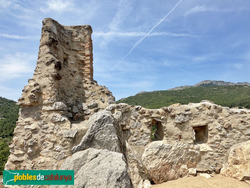 Pratdip - Castell (Foto: Albert Esteves, 2025) Pratdip - Castell
