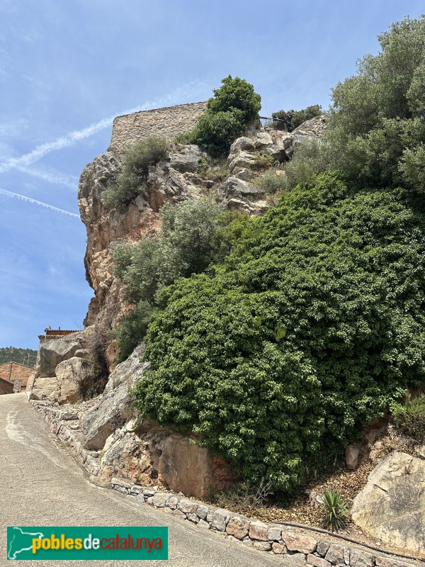 Pratdip - Castell (Foto: Albert Esteves, 2025) Pratdip - Castell