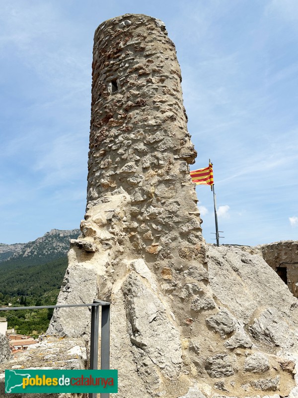Pratdip - Castell (Foto: Albert Esteves, 2025) Pratdip - Castell