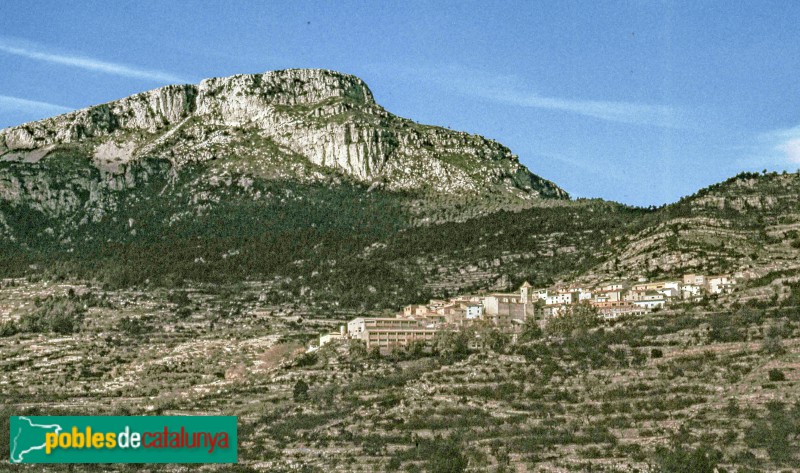 Colldejou - Panoràmica del poble (Foto: Josep M. Vidal-Barrquer i Marfà, 1979) Colldejou - Panoràmica del poble