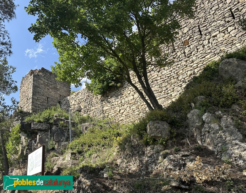 L'Albiol - Castell