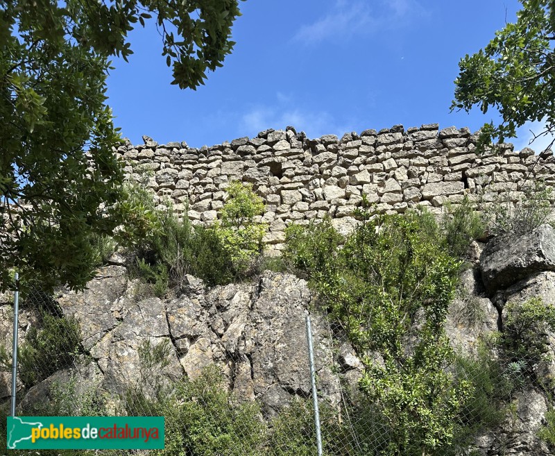 L'Albiol - Castell