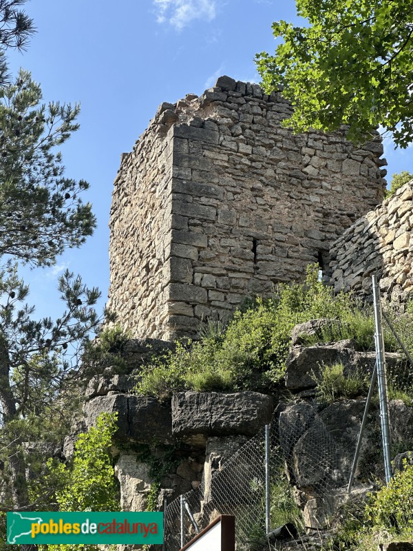 L'Albiol - Castell