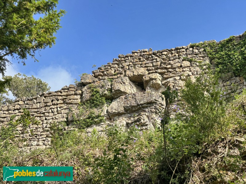 L'Albiol - Castell