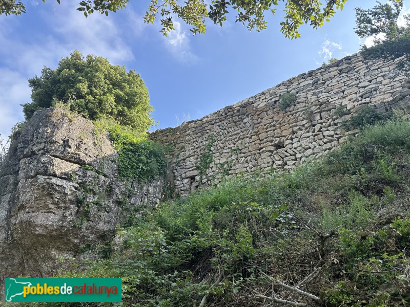 L'Albiol - Castell