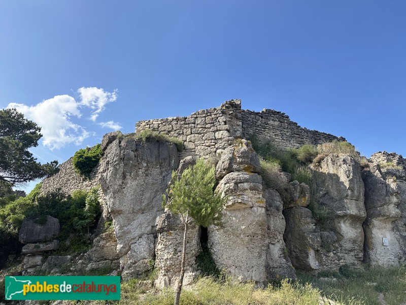 L'Albiol - Castell