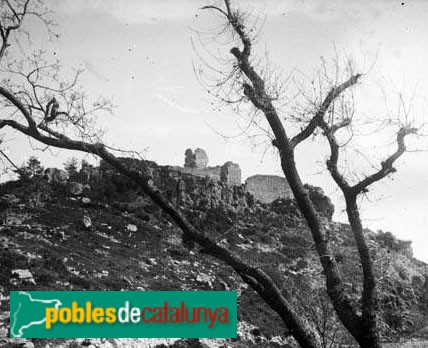 L'Albiol - Castell