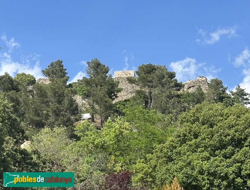 L'Albiol - Castell