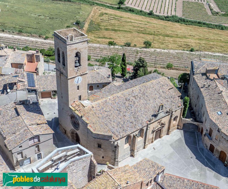 Verdú - Església de Santa Maria, pica baptismal (Foto: Francesc Vidal-Barraquer, 2025) Verdú - Església de Santa Maria, pica baptismal