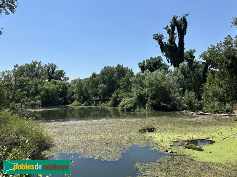 Girona - El Ter a la reclosa de la Manola