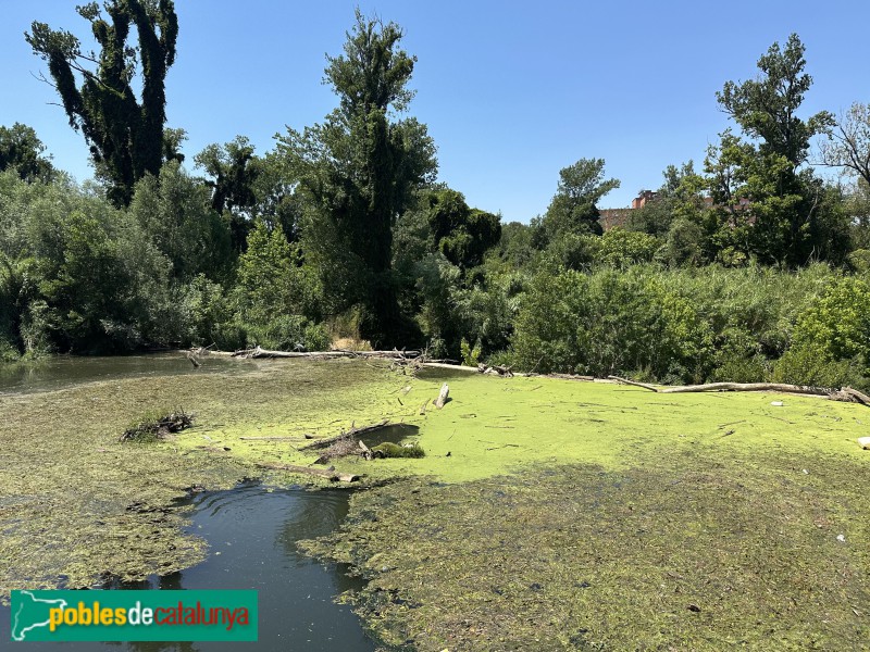 Girona - El Ter a la reclosa de la Manola