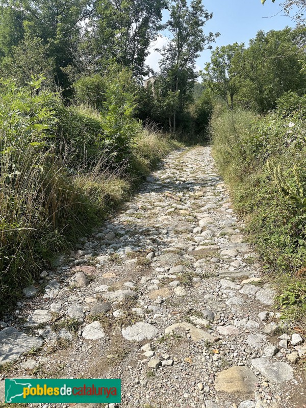 Bellver de Cerdanya - Camí de Sant Serni de Coborriu