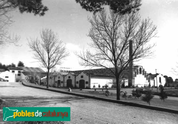 Lleida - Cellers de Raimat (J.A.Garcia Corbella, J.Salvadó, 1983