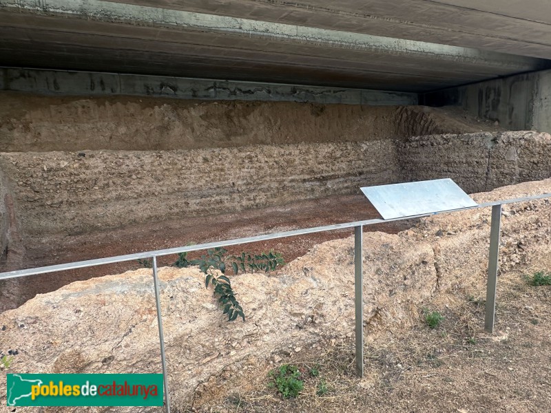 Tossa de Mar - Vil·la Romana dels Ametllers (Foto: Albert Esteves, 2025) Tossa de Mar - Vil·la Romana dels Ametllers