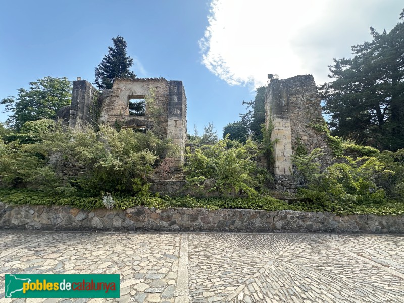 Monestir de Poblet - Ruïnes del palau abacial (Foto: Albert Esteves, 2025) Monestir de Poblet - Ruïnes del palau abacial