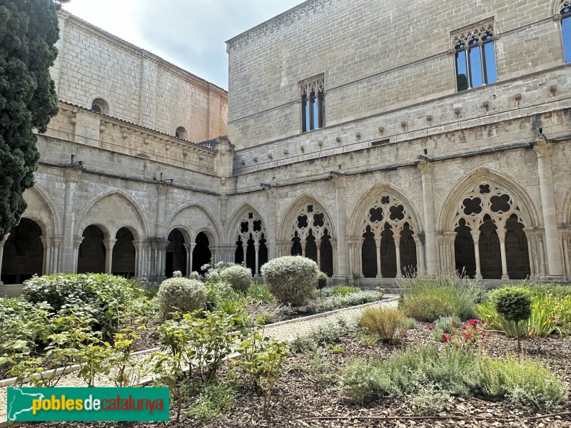 Monestir de Poblet - Claustre