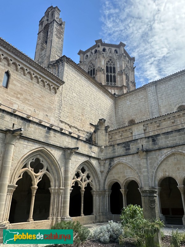 Monestir de Poblet - Claustre