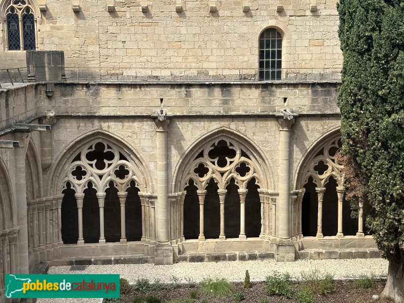 Monestir de Poblet - Claustre