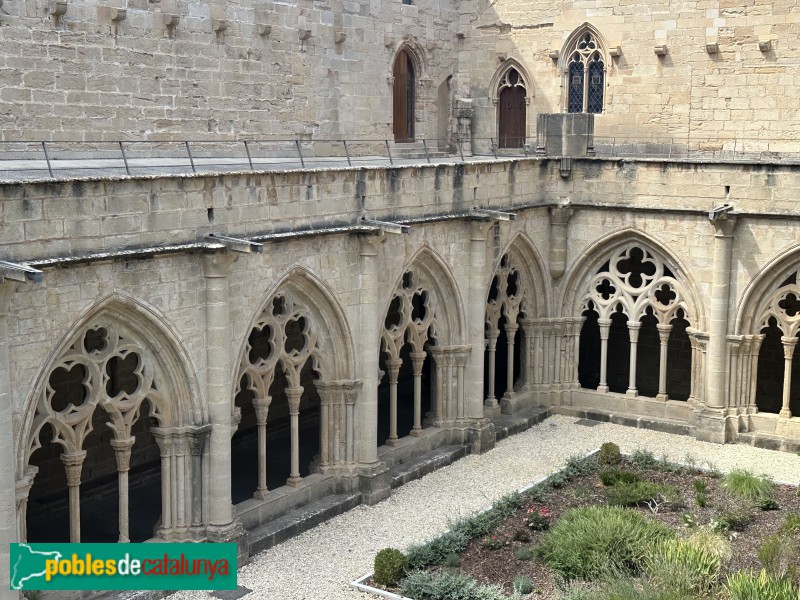 Monestir de Poblet - Claustre