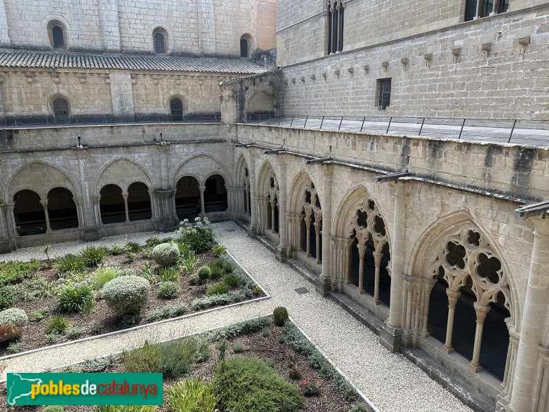 Monestir de Poblet - Claustre