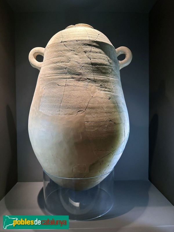Museu Arqueològic de Catalunya - Àmfora fenícia procedent d'Aldovesta