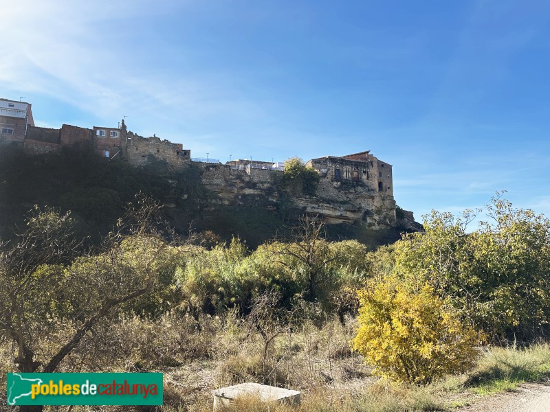 Aspa - Castell-palau