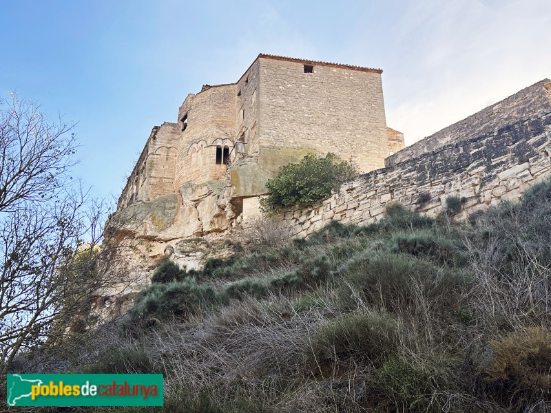 Aspa - Castell-palau