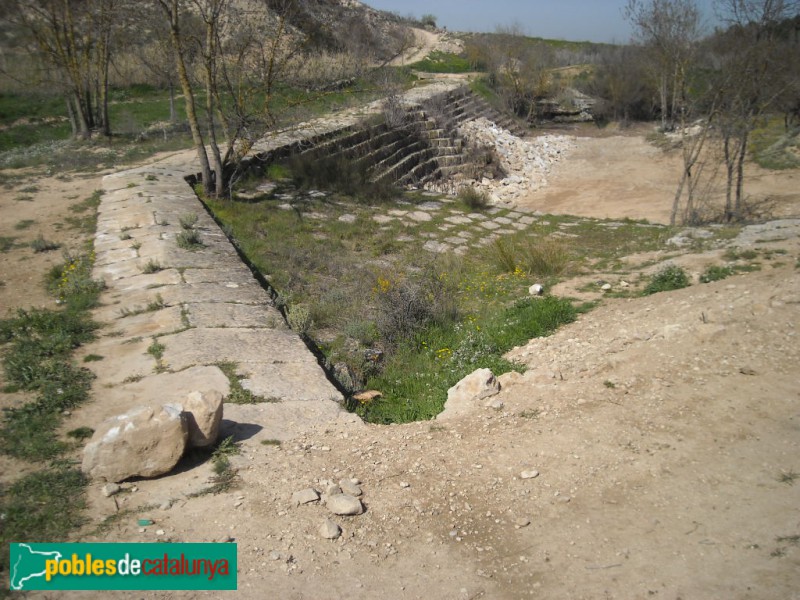 Alfés - Resclosa gran del riu Set