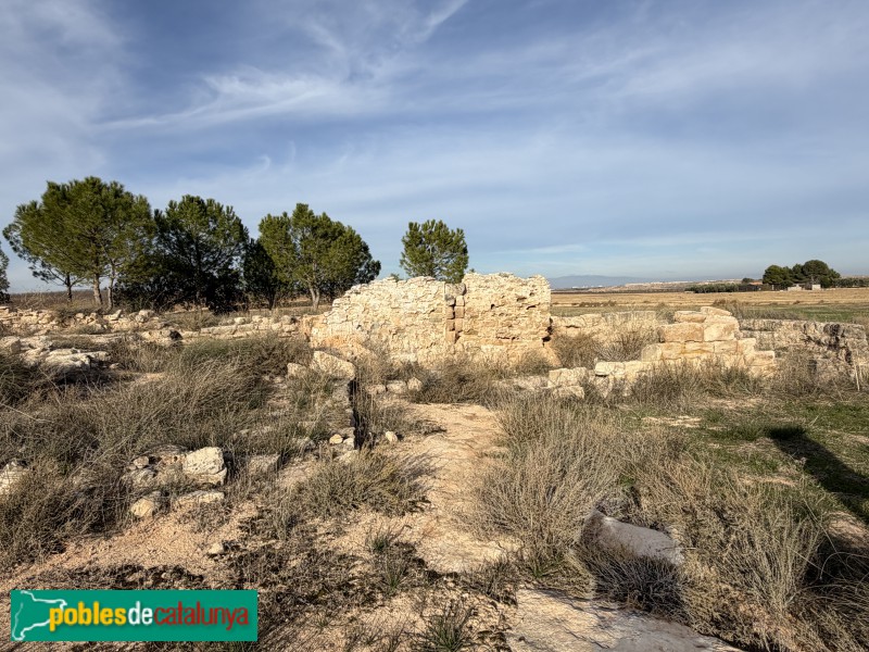 Sunyer - Restes de l'ermita de Sant Llúcia (Foto: Albert Esteves, 2025) Sunyer - Restes de l'ermita de Sant Llúcia
