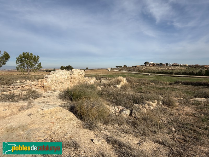 Sunyer - Restes de l'ermita de Sant Llúcia (Foto: Albert Esteves, 2025) Sunyer - Restes de l'ermita de Sant Llúcia