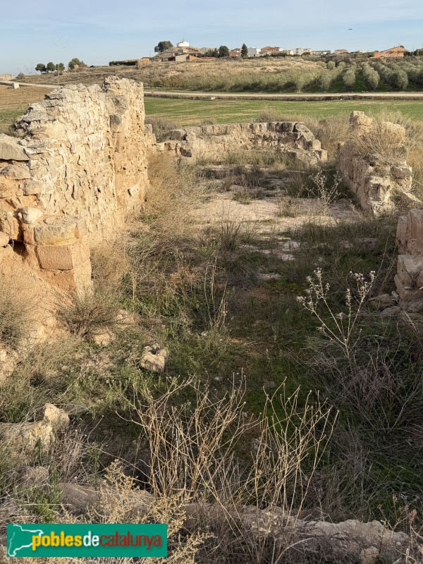 Sunyer - Restes de l'ermita de Sant Llúcia (Foto: Albert Esteves, 2025) Sunyer - Restes de l'ermita de Sant Llúcia