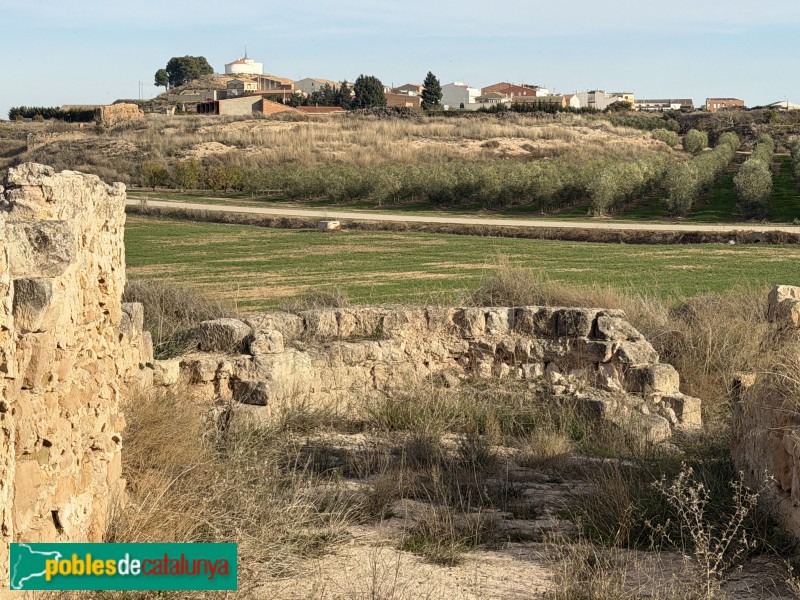 Sunyer - Restes de l'ermita de Sant Llúcia (Foto: Albert Esteves, 2025) Sunyer - Restes de l'ermita de Sant Llúcia