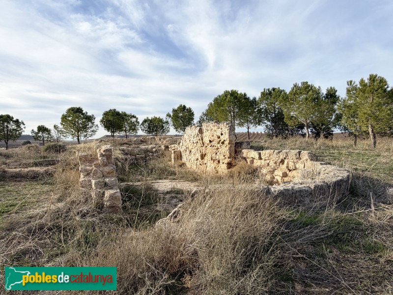 Sunyer - Restes de l'ermita de Sant Llúcia (Foto: Albert Esteves, 2025) Sunyer - Restes de l'ermita de Sant Llúcia
