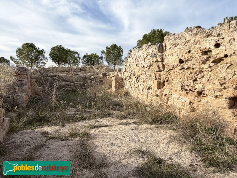 Sunyer - Restes de l'ermita de Sant Llúcia (Foto: Albert Esteves, 2025) Sunyer - Restes de l'ermita de Sant Llúcia