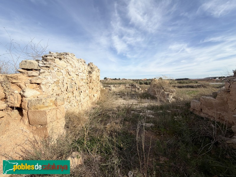 Sunyer - Restes de l'ermita de Sant Llúcia (Foto: Albert Esteves, 2025) Sunyer - Restes de l'ermita de Sant Llúcia